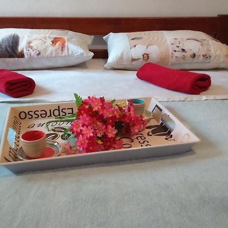 Apartment Vladka Izola Εξωτερικό φωτογραφία